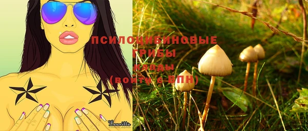 амф Абдулино