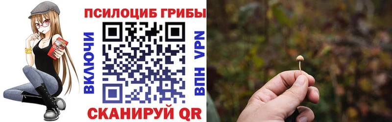 МЕГА ссылка  Приволжский  Псилоцибиновые грибы Psilocybe  где купить наркоту 